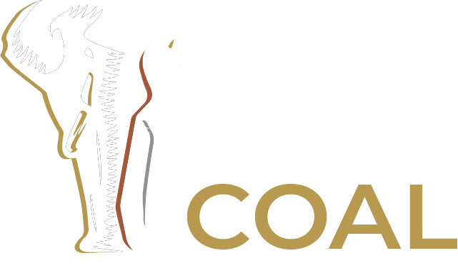 Tlou Coal